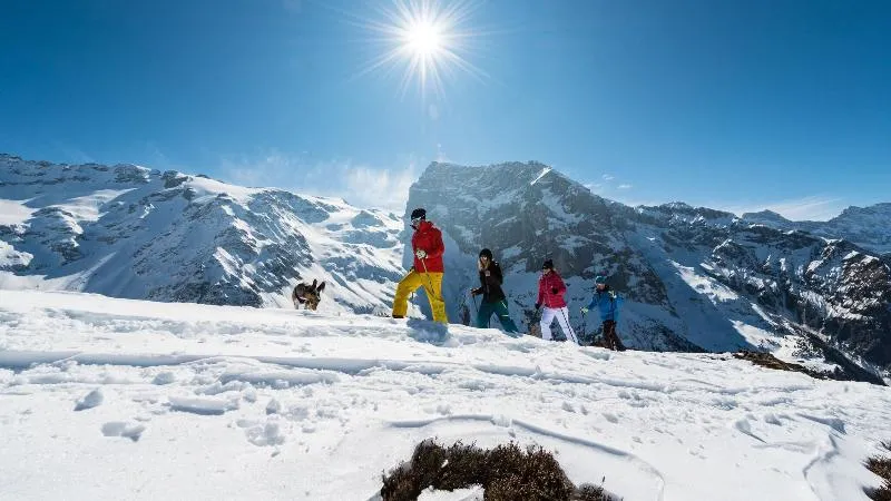 Elveția ski